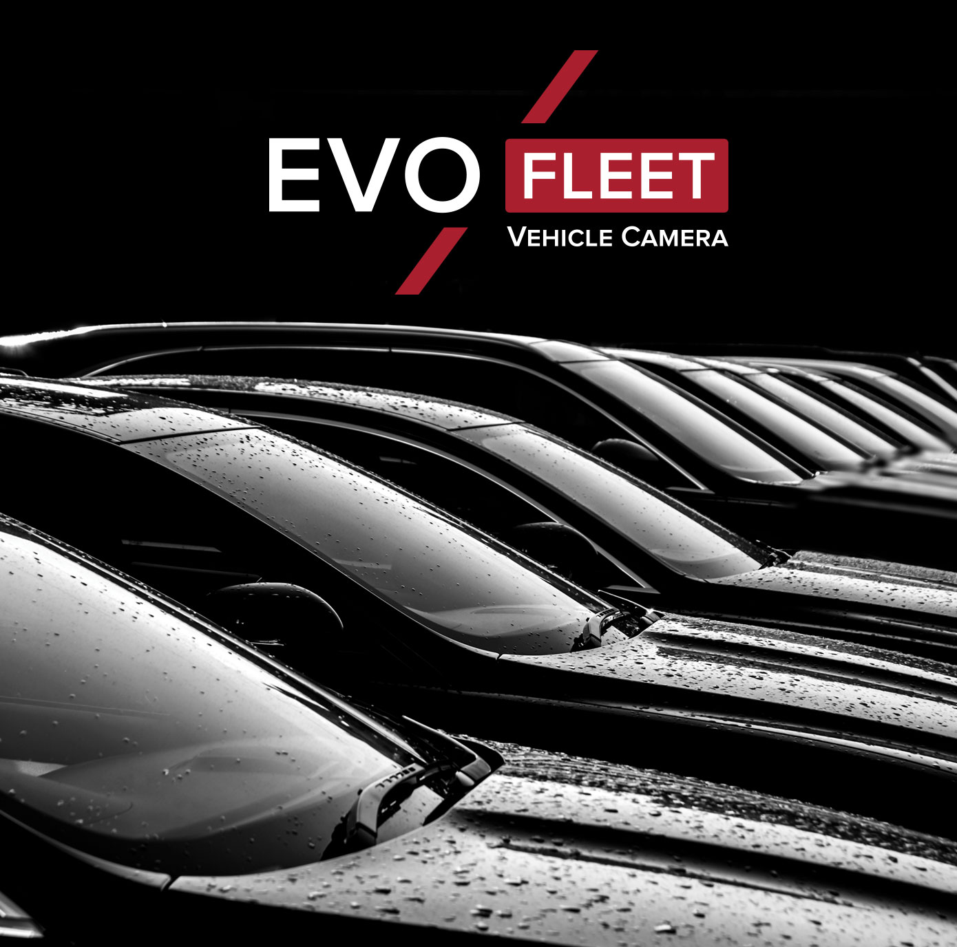 EVO Fleet