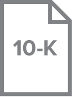 annual 10-k report