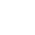 Section Icon